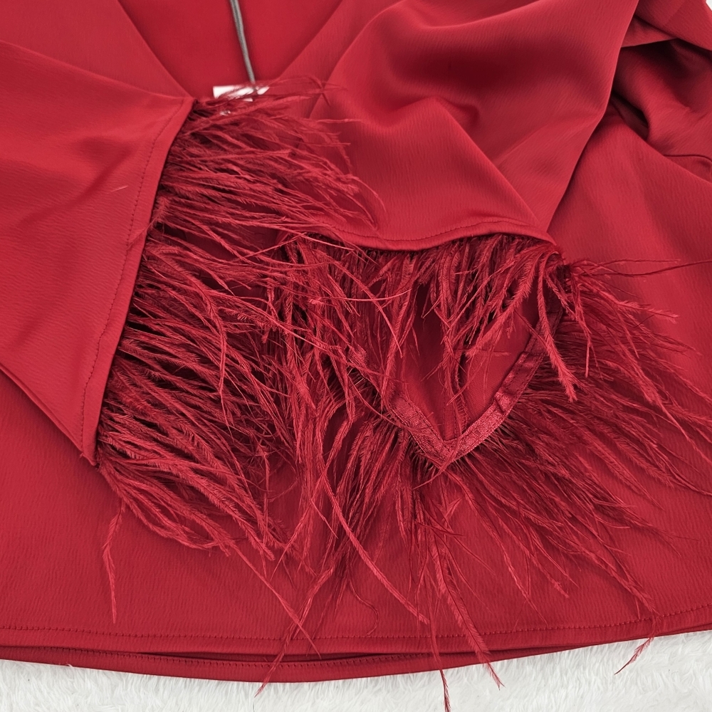 WAYF Red Long Sleeved Feather-Trim Cropped Satin V-Neck Top Womens Size Small - Picture 6 of 11